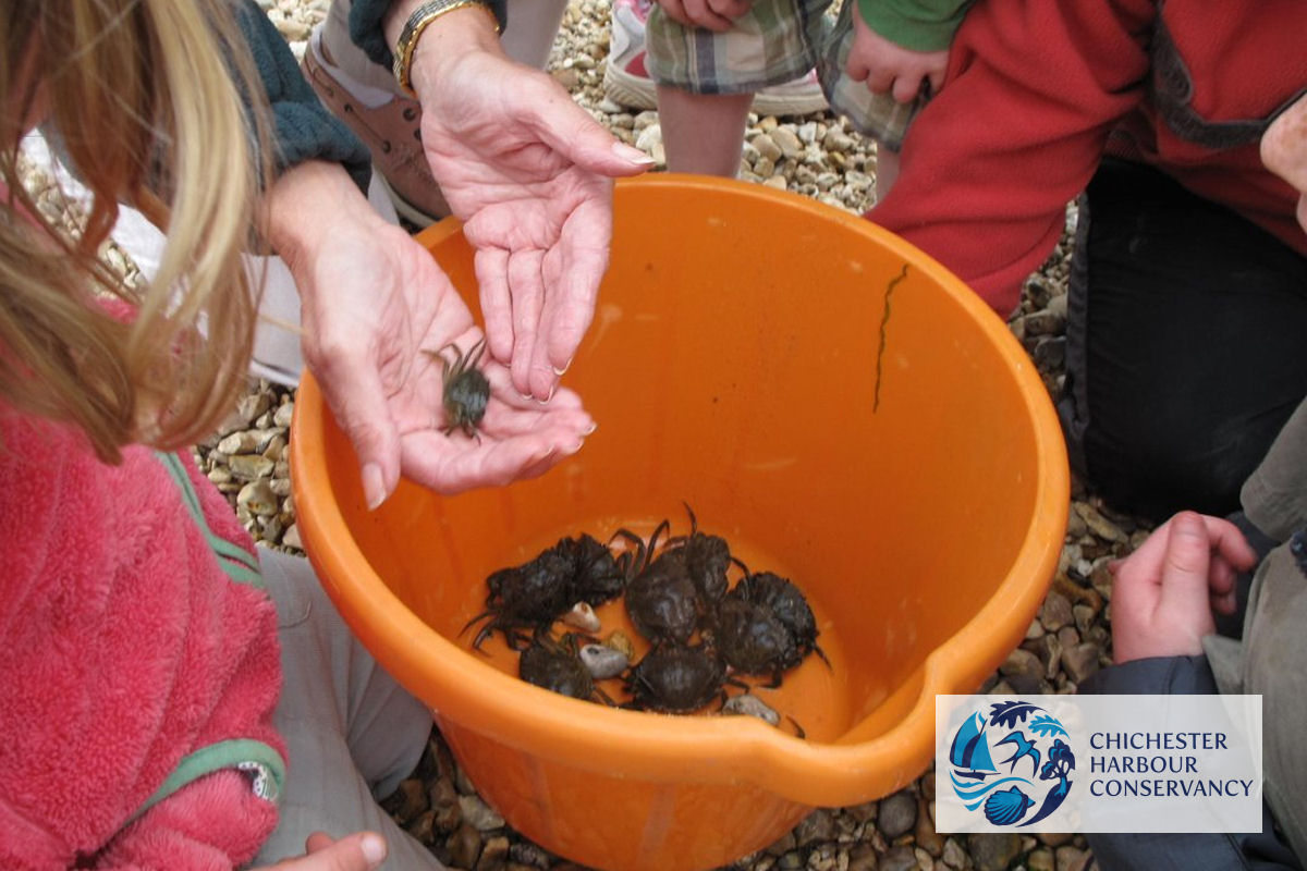 Chichester Harbour Crabbing Competition