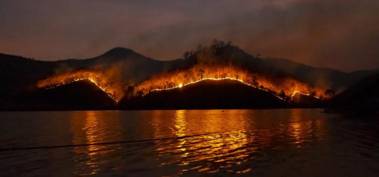 Is 2023 poised to become the most devastating wildfire year ever?