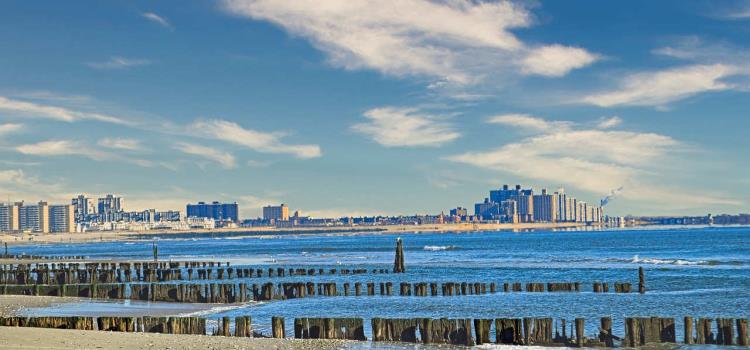 Woman attacked by shark at New York City's Rockaway Beach